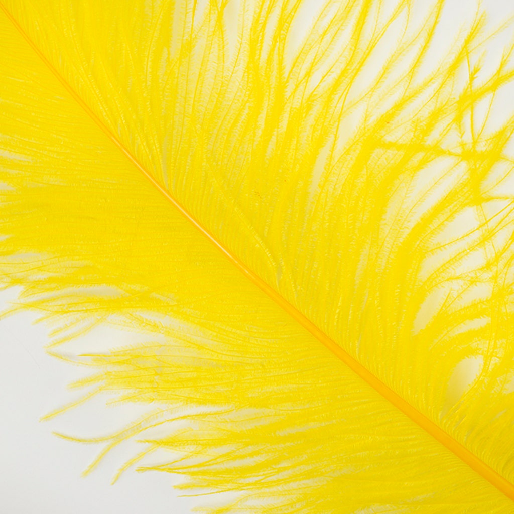 Large Ostrich Feathers - 18-24" Spads - Yellow