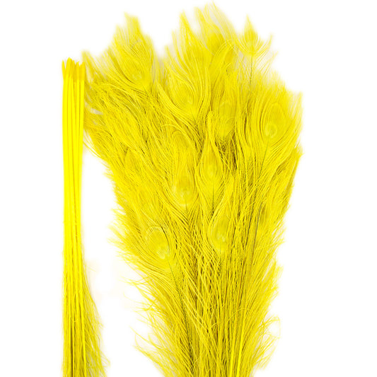 Peacock Feathers (Bulk) | 25-40" Tail Eyes | Fluorescent Yellow