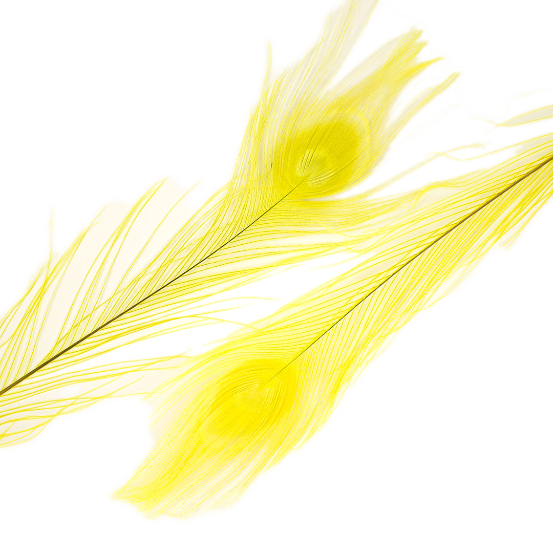 Peacock Feathers (Bulk) | 25-40" Tail Eyes | Fluorescent Yellow