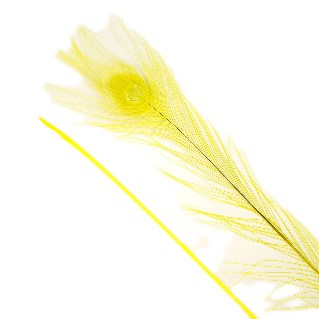 Peacock Feathers (Bulk) | 25-40" Tail Eyes | Fluorescent Yellow