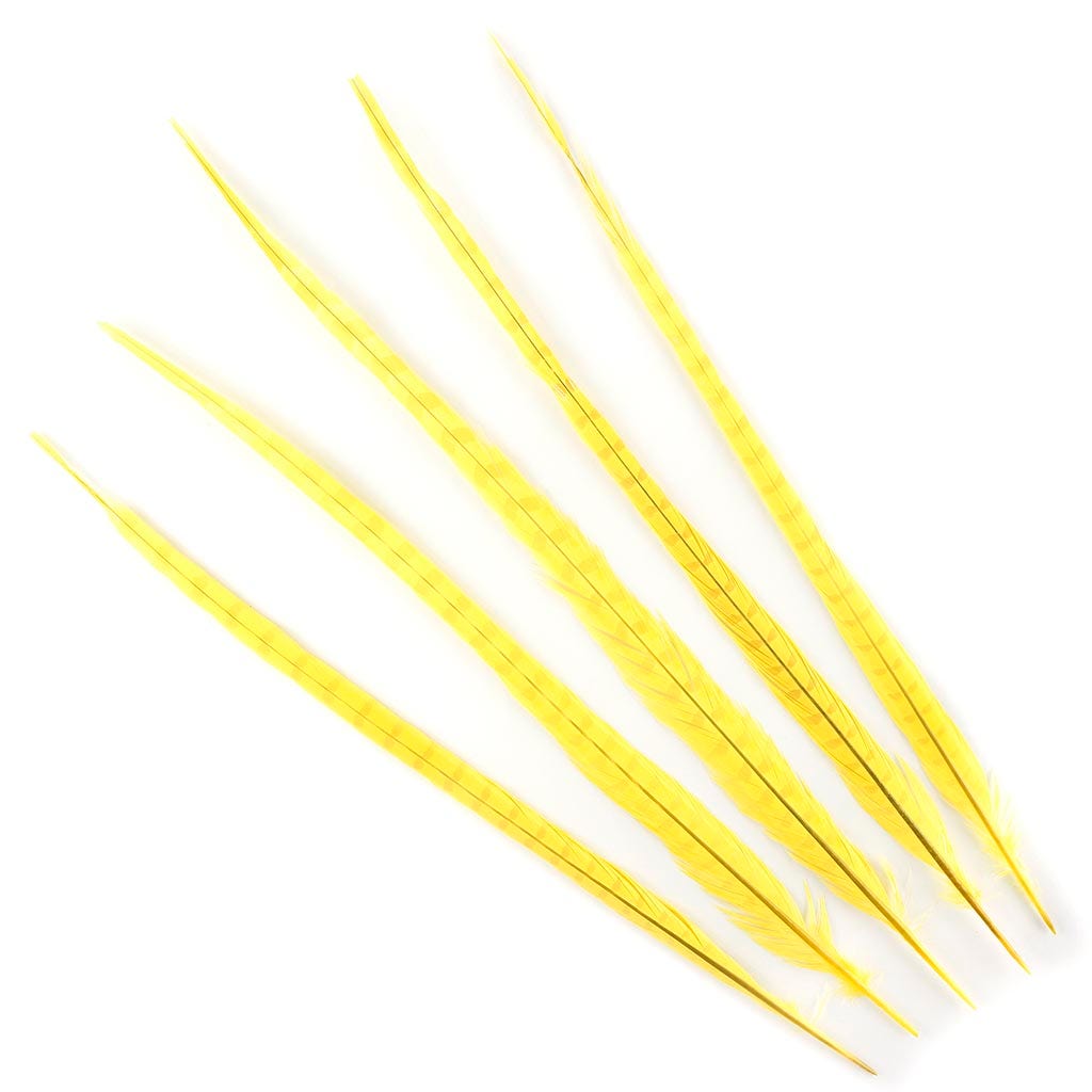 Ringneck Pheasant Tails Bleached & Dyed Fl Yellow
