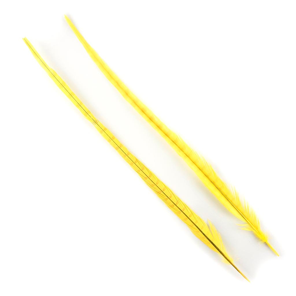 Ringneck Pheasant Tails Bleached & Dyed Fl Yellow