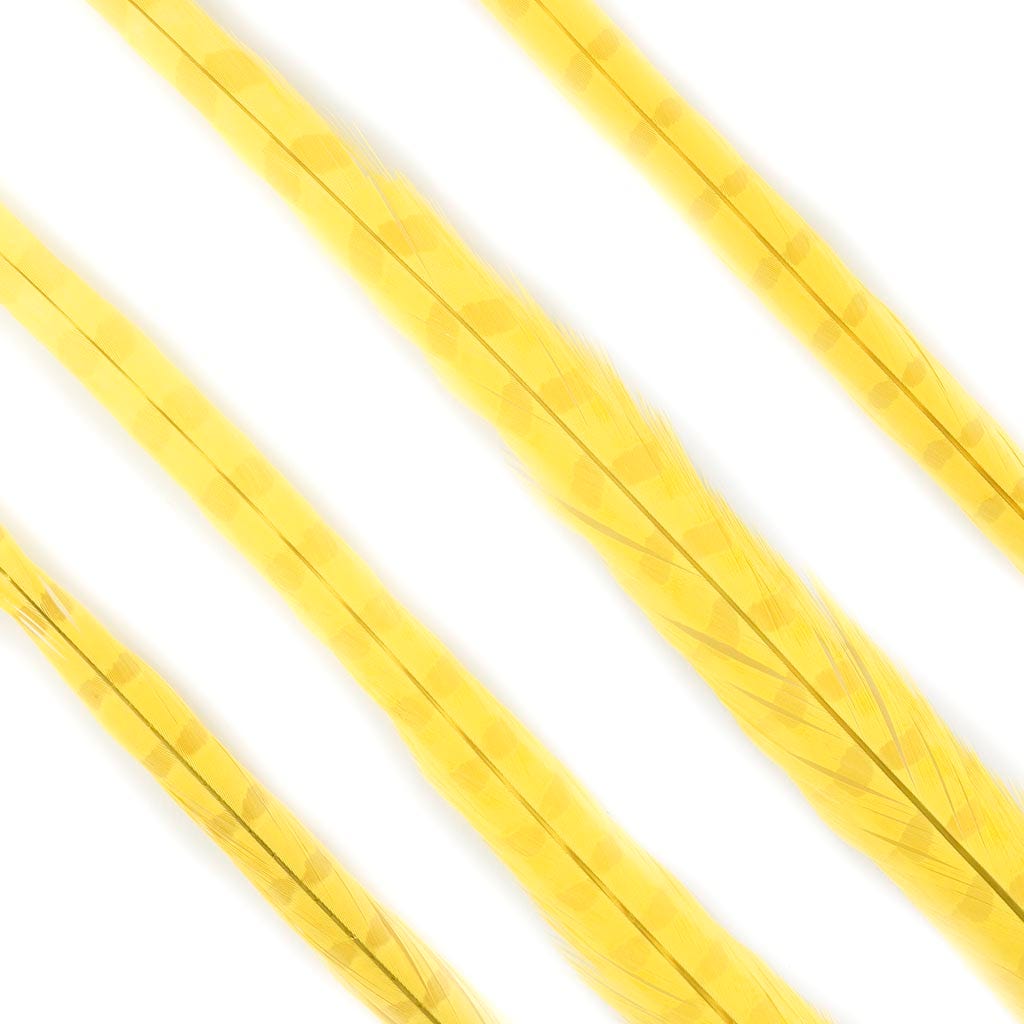 Ringneck Pheasant Tails Bleached & Dyed Fl Yellow
