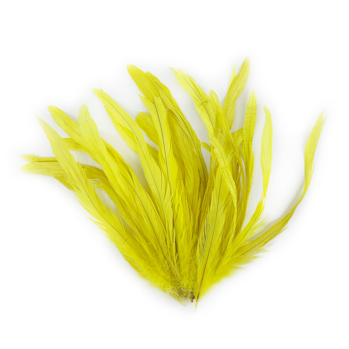 ROOSTER COQUE TAIL FEATHERS BLEACH DYED 7-10” - 25 PC/PKG - Bright Yellow
