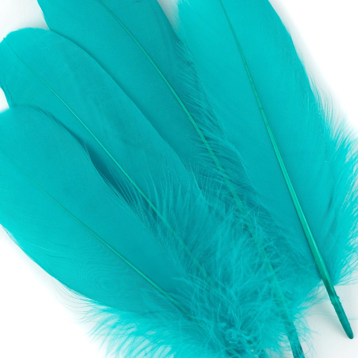 Goose Pallet Feathers 6-8" - 12 pc - Aquamarine