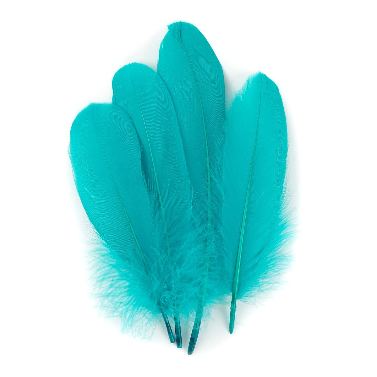 Goose Pallet Feathers 6-8" - 12 pc - Aquamarine