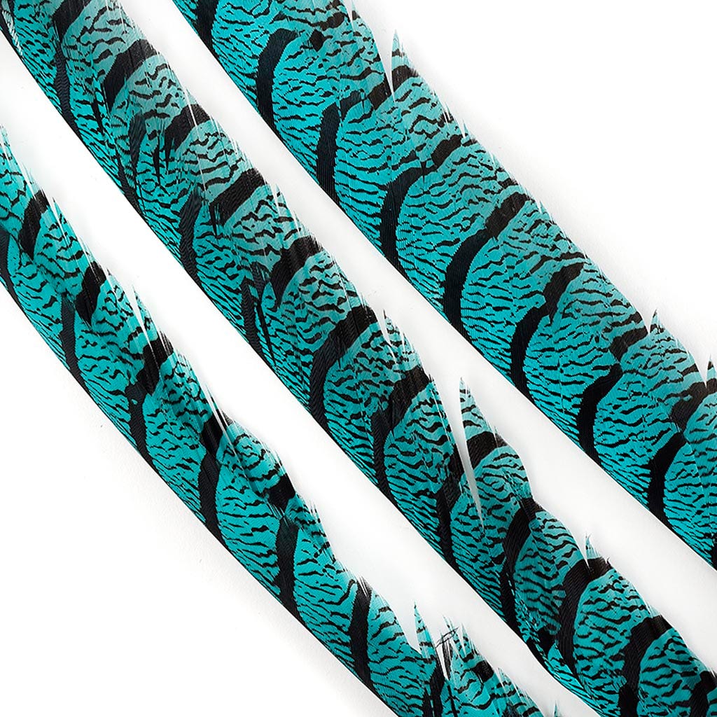Lady Amherst Pheasant Tails - Dark Aqua