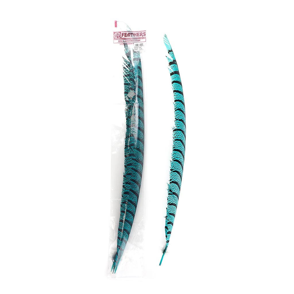 Lady Amherst Pheasant Tails - Dark Aqua