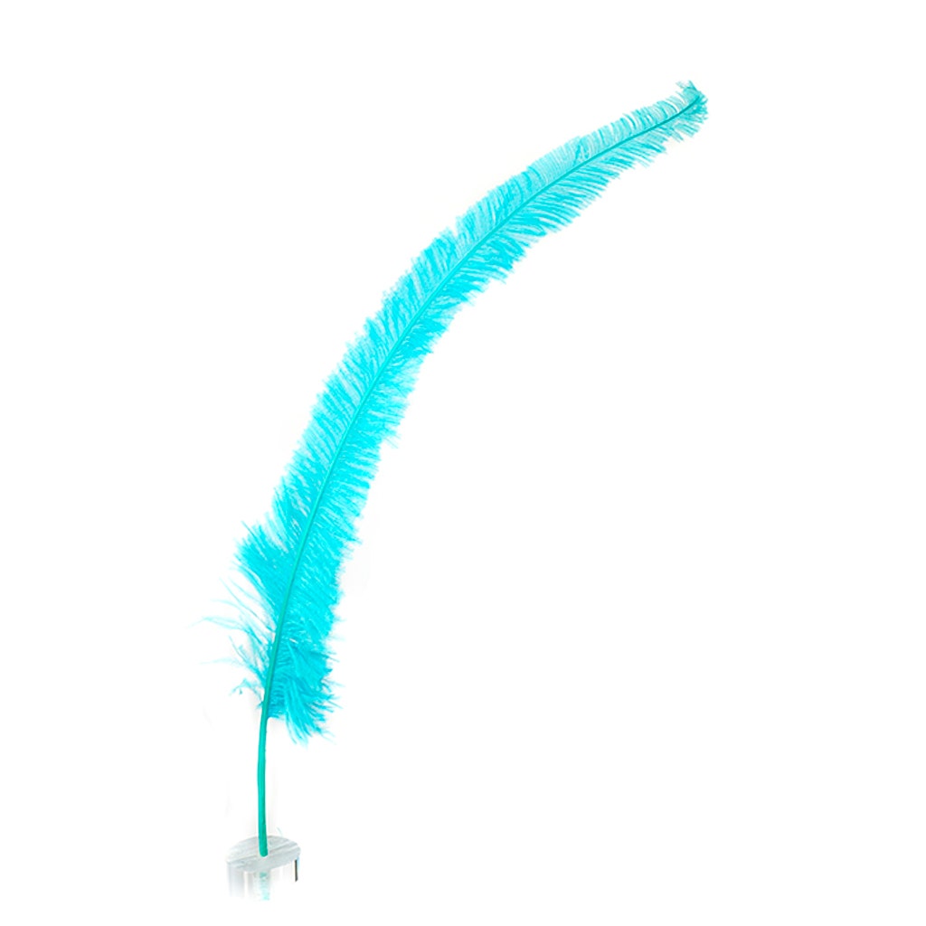 Ostrich Nandu Selected Feathers 12 PCS - Light Aqua