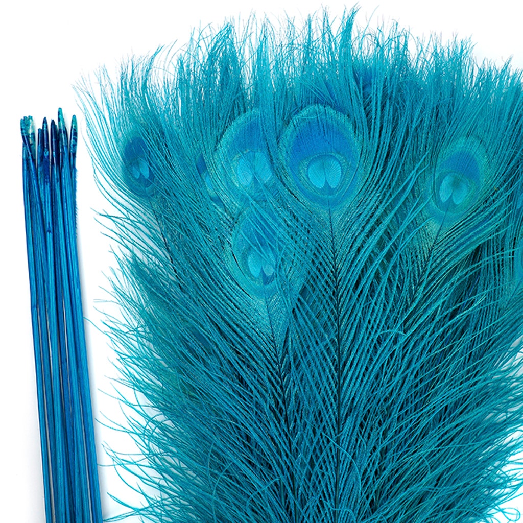 Peacock Tail Eyes Bleached Dyed - 25-40 Inch - 100 PCS - Dark Aqua