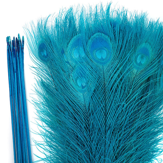 Peacock Tail Eyes Bleached Dyed - 25-40 Inch - 100 PCS - Dark Aqua