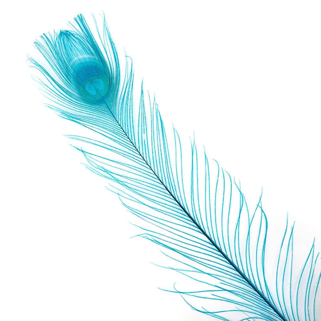 Peacock Tail Eyes Bleached Dyed - 25-40 Inch - 100 PCS - Dark Aqua
