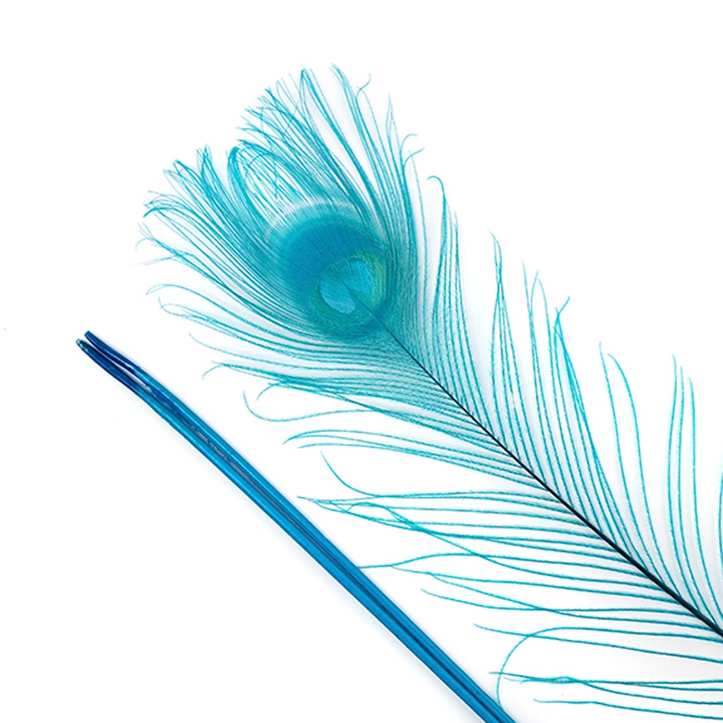 Peacock Tail Eyes Bleached Dyed - 25-40 Inch - 100 PCS - Dark Aqua