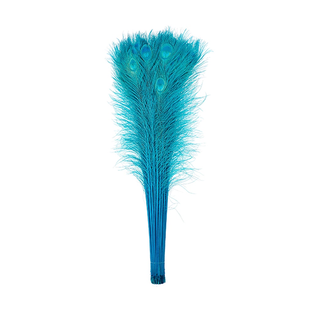 Peacock Tail Eyes Bleached Dyed - 25-40 Inch - 100 PCS - Dark Aqua