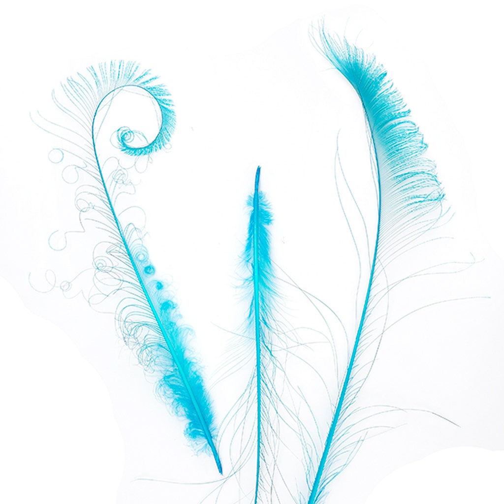 Peacock Swords Bleached/Dyed - Dark Aqua