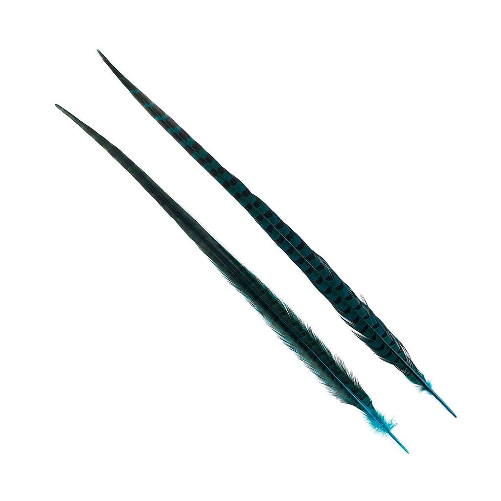 Ringneck Pheasant Tails 20-24" Dyed -5pcs - Dark Aqua