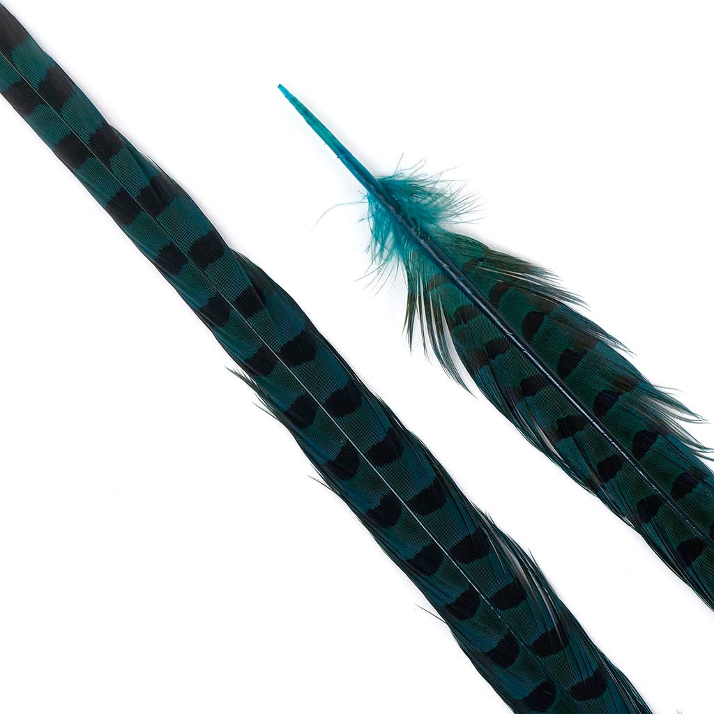 Ringneck Pheasant Tails 20-24" Dyed -5pcs - Dark Aqua