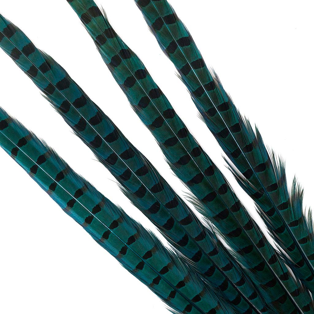 Ringneck Pheasant Tails 20-24" Dyed -5pcs - Dark Aqua