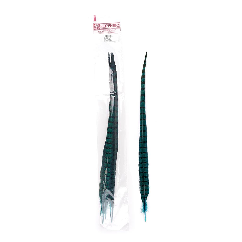 Ringneck Pheasant Tails 20-24" Dyed -5pcs - Dark Aqua