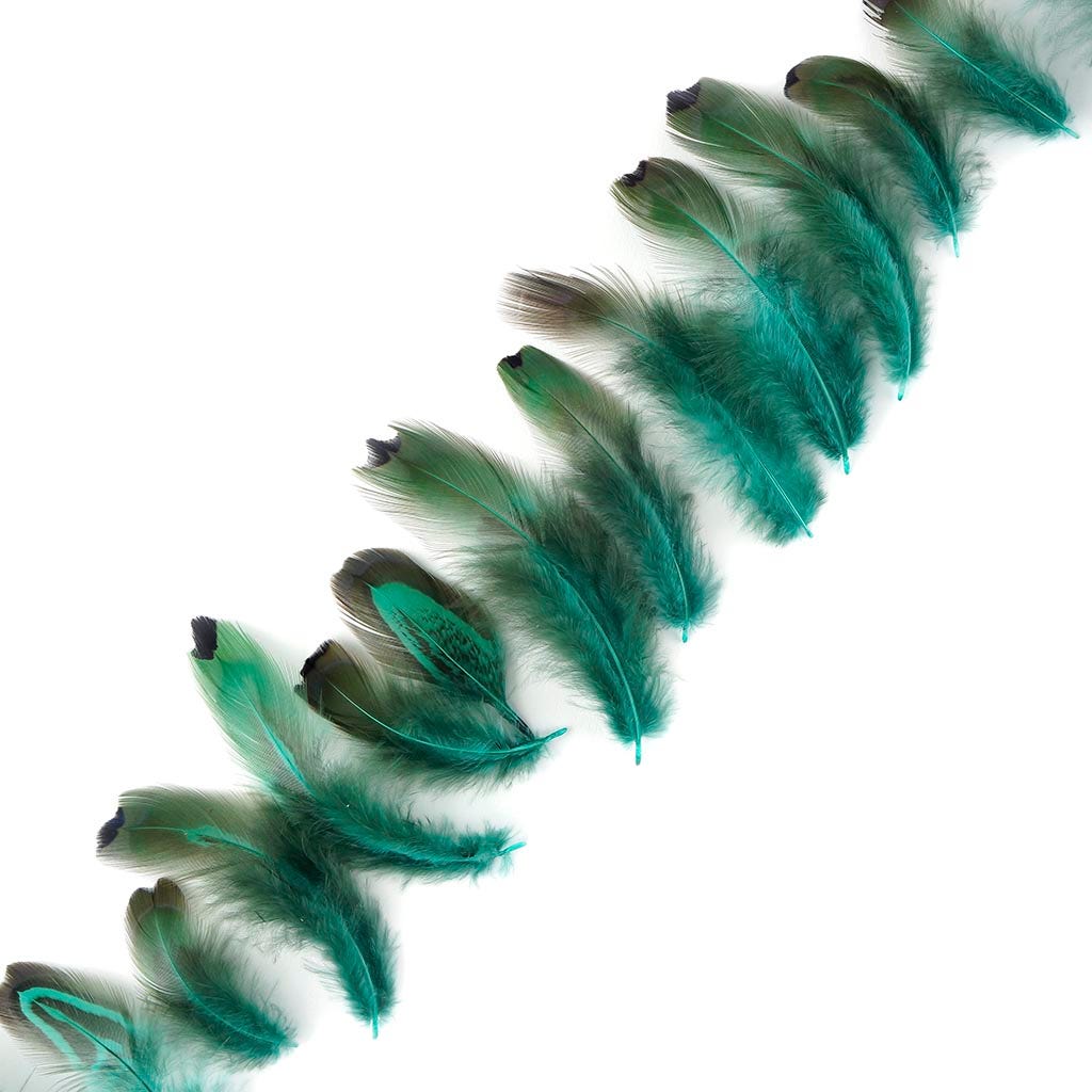 Ringneck Plumage-Heart Dark Aqua