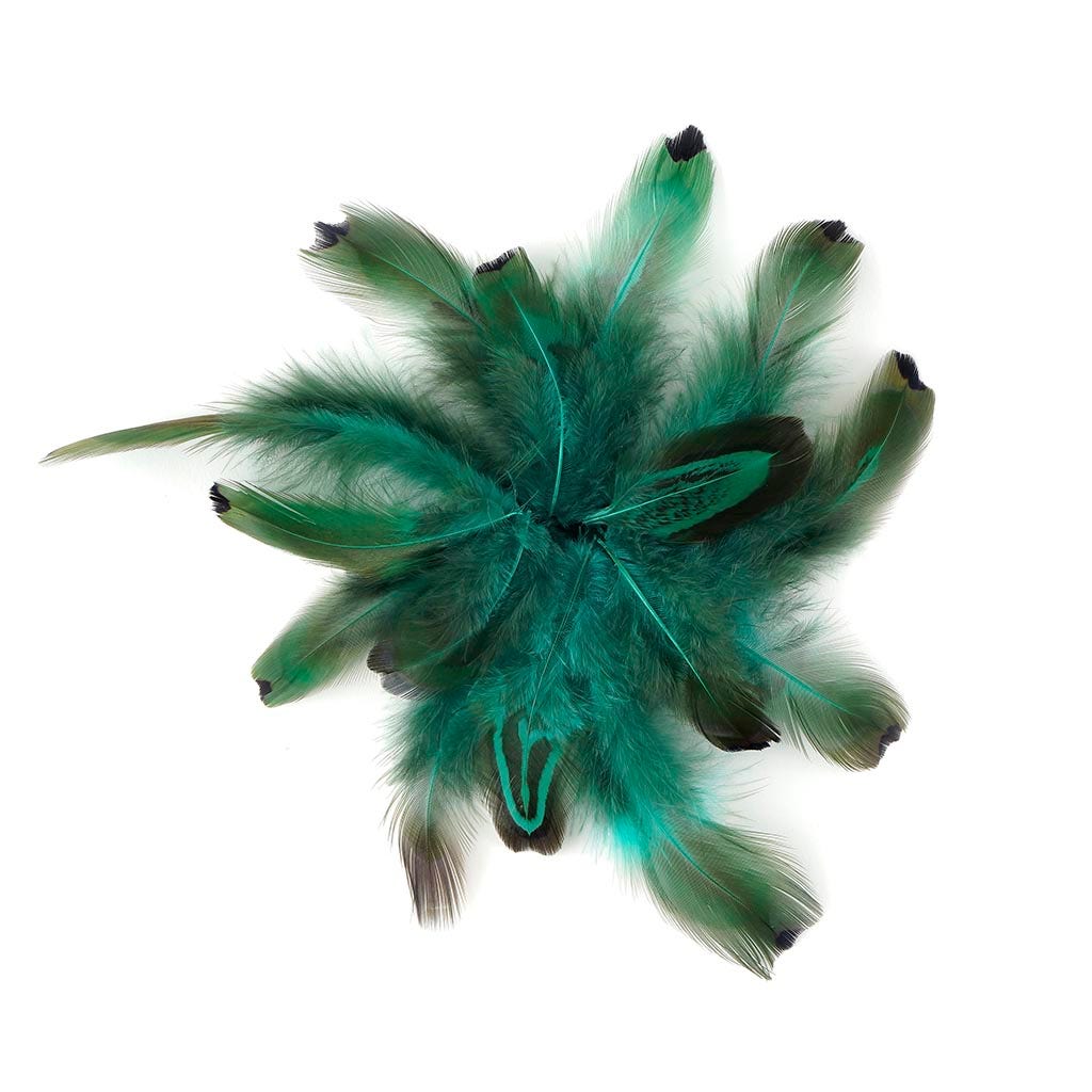 Ringneck Plumage-Heart Dark Aqua
