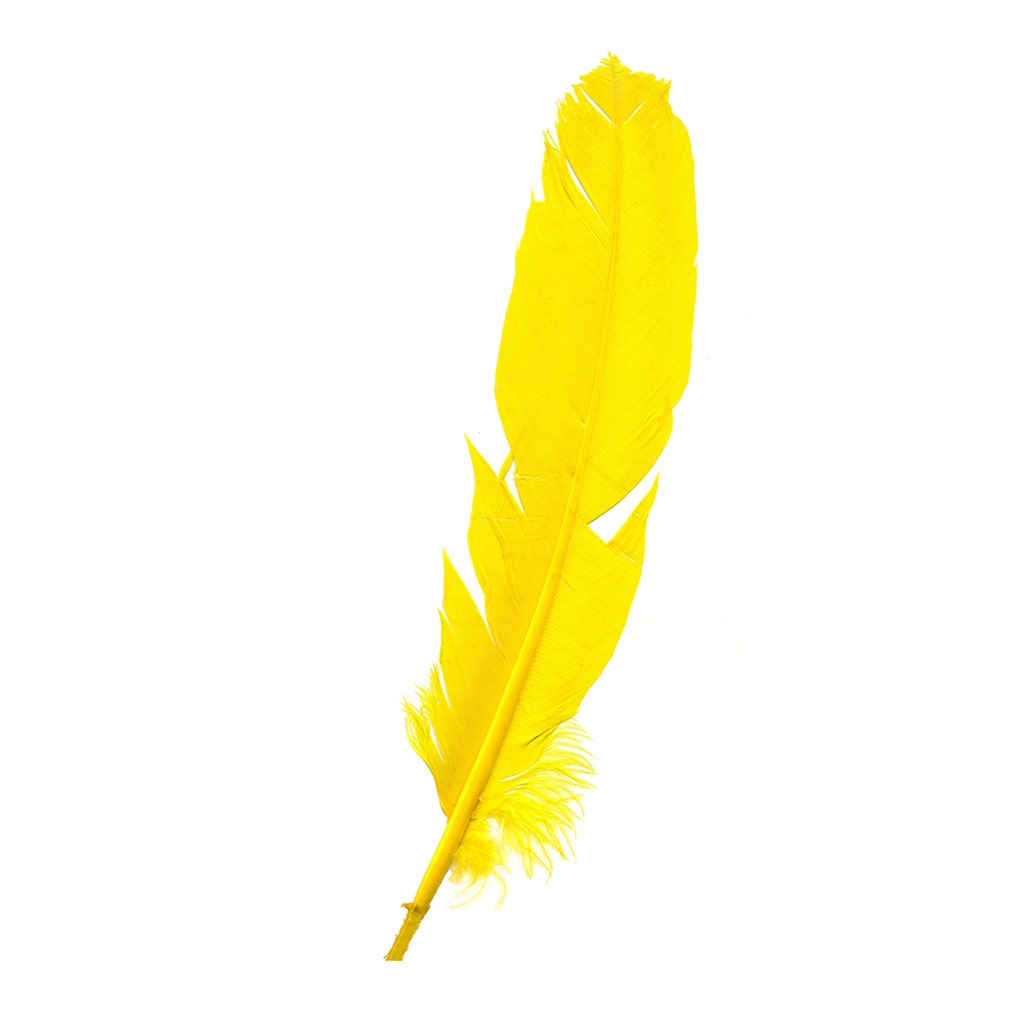 Parried Turkey Quills Damaged - Assorted Mix