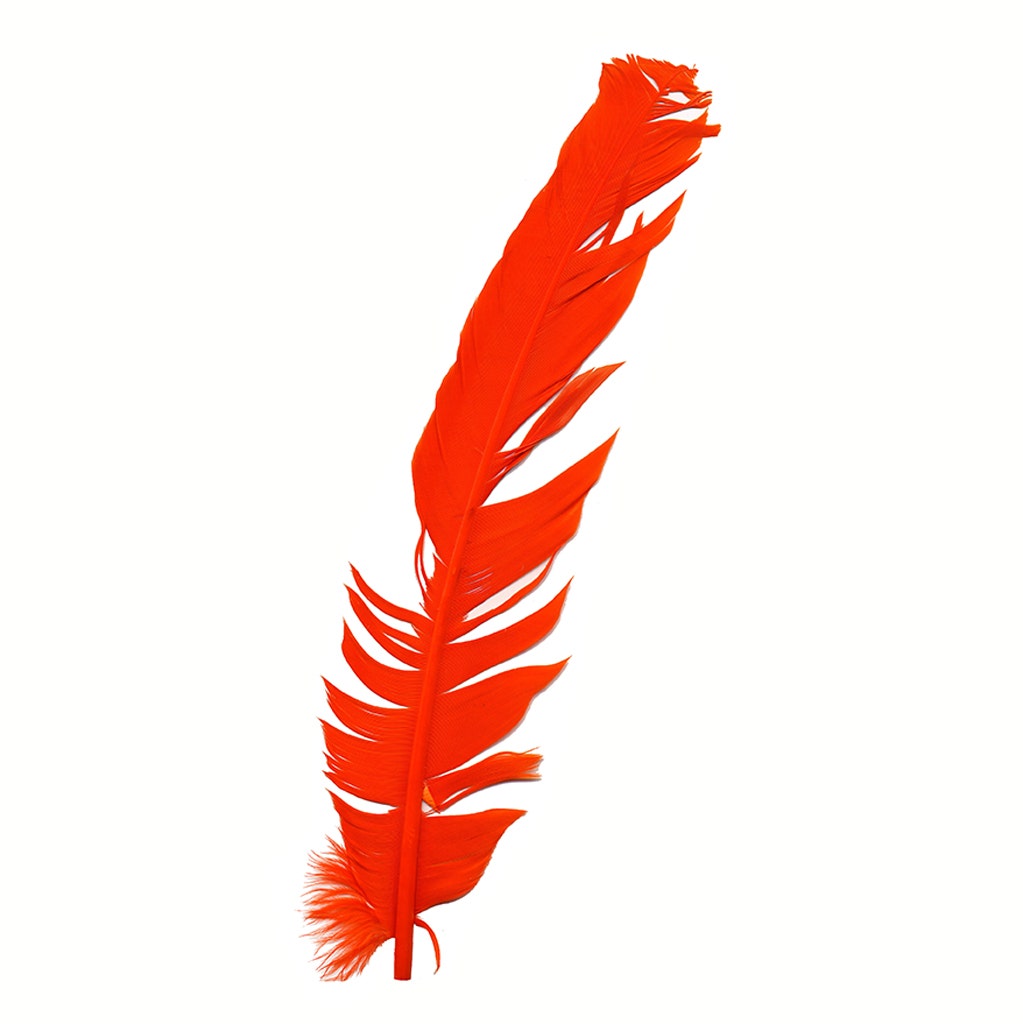Parried Turkey Quills Damaged - Assorted Mix