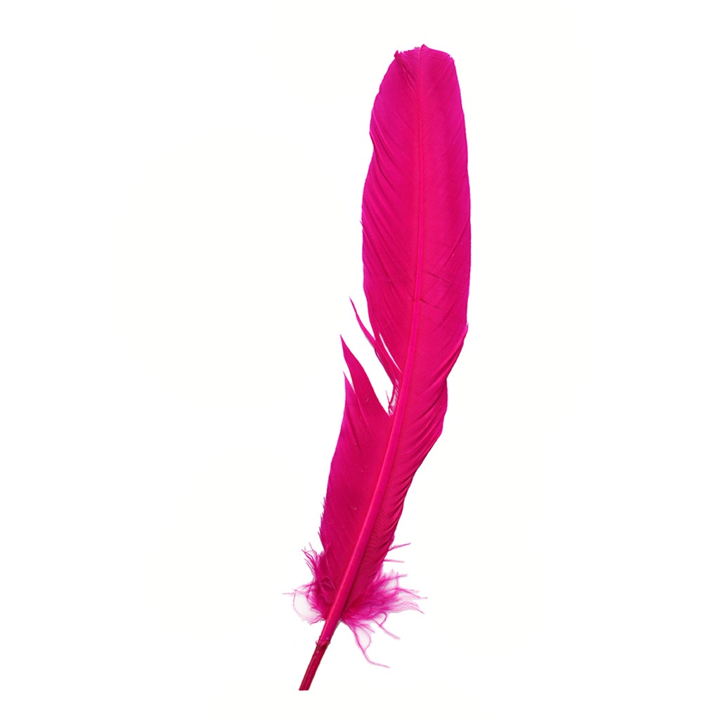 Parried Turkey Quills Damaged - Assorted Mix