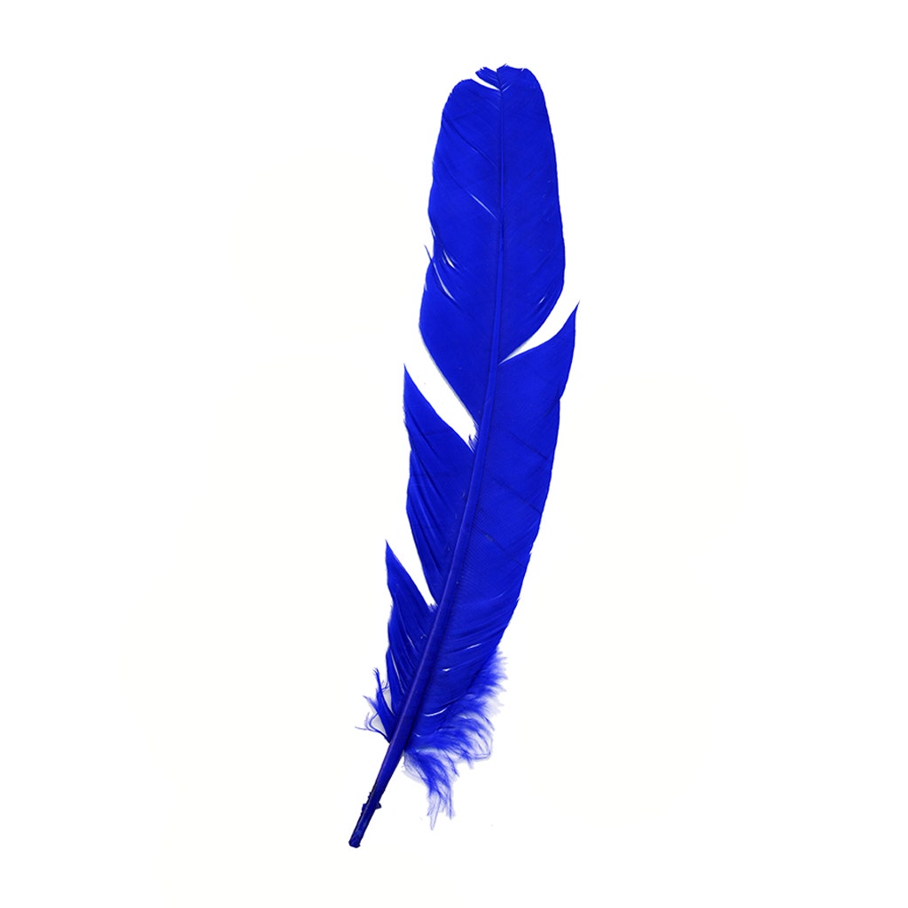 Parried Turkey Quills Damaged - Assorted Mix