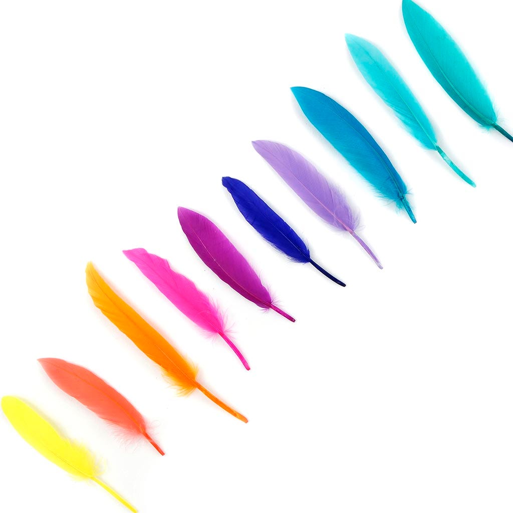 Loose Duck Cosse Mix Dyed CONFETTI