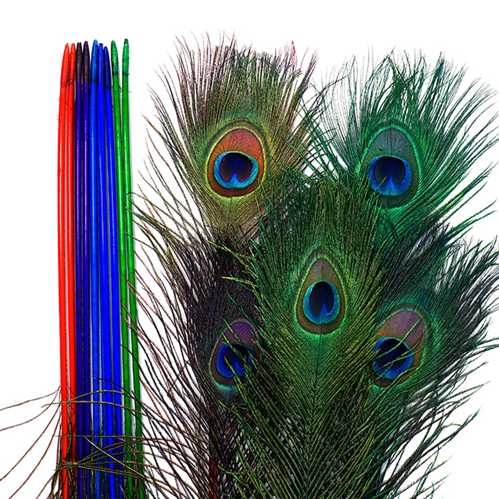Peacock Tail Eyes Stem Dyed Mix - Jewel Mix
