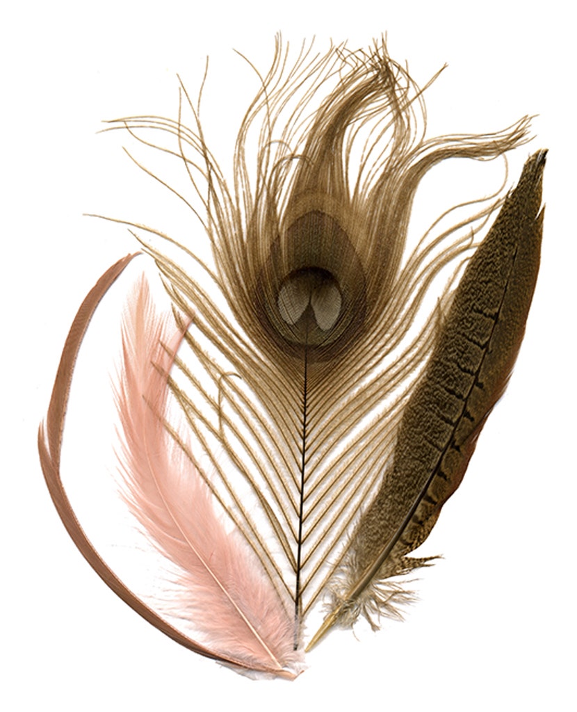 Peacock - Pheasant - Goose Mix - CHP - GIRD - N