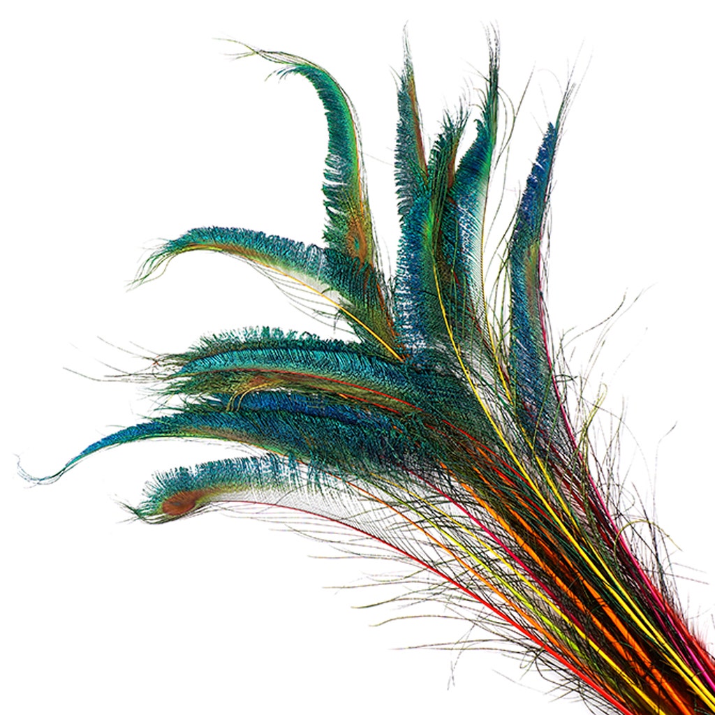Peacock Swords Stem Mix Dyed - Neon Mix