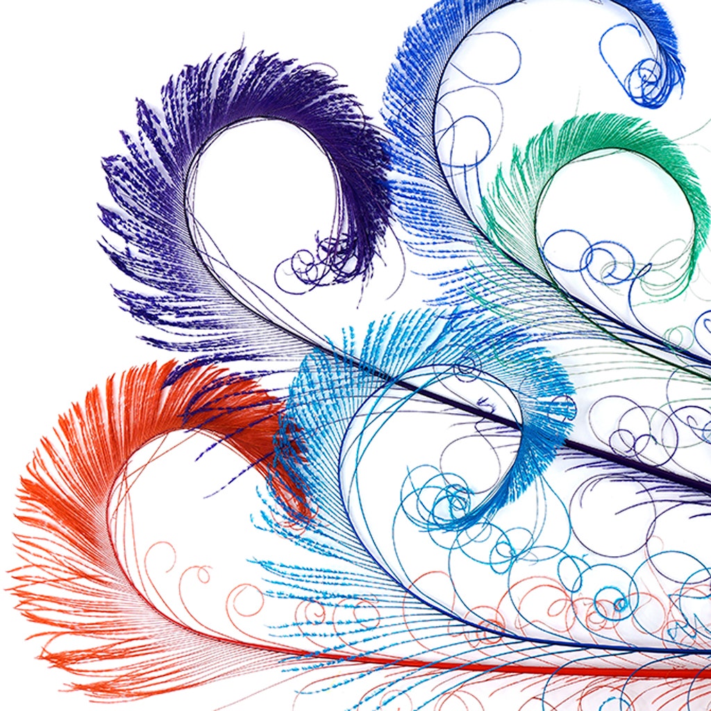 Peacock Swords Bleach Mix Dyed - Jewel Mix