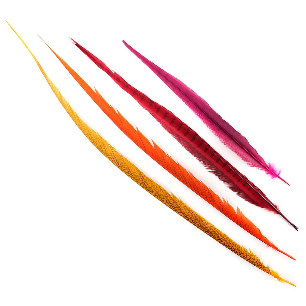 Assorted Pheasant Tails Mix Dyed FIESTA