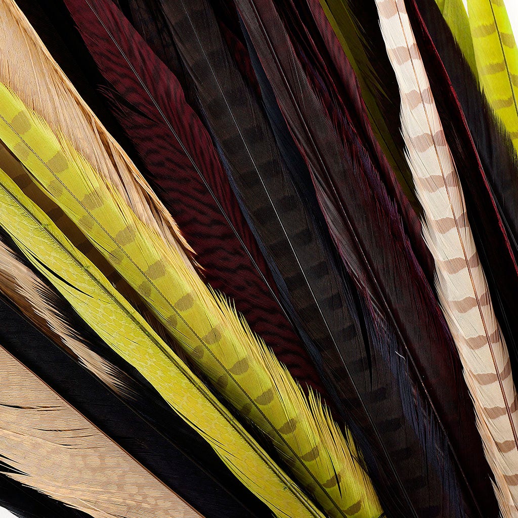 Assorted Pheasant Tails Mix Dyed HARVEST