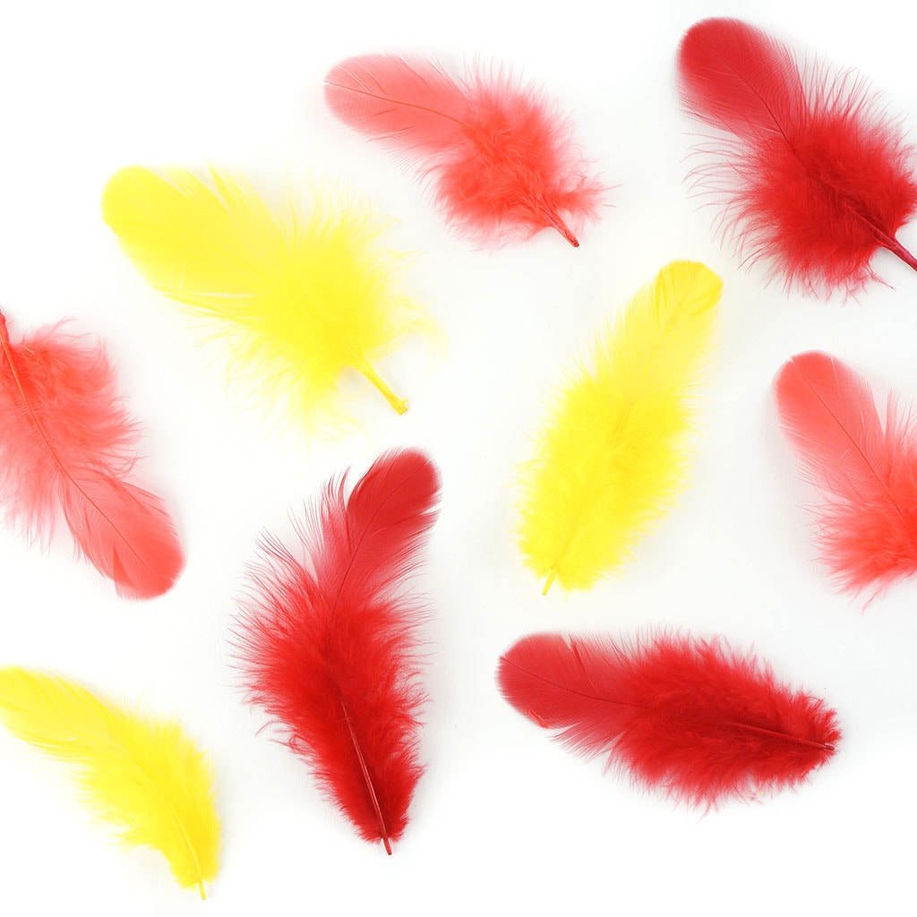 Rooster Plumage-White-Dyed Mix - FIRE