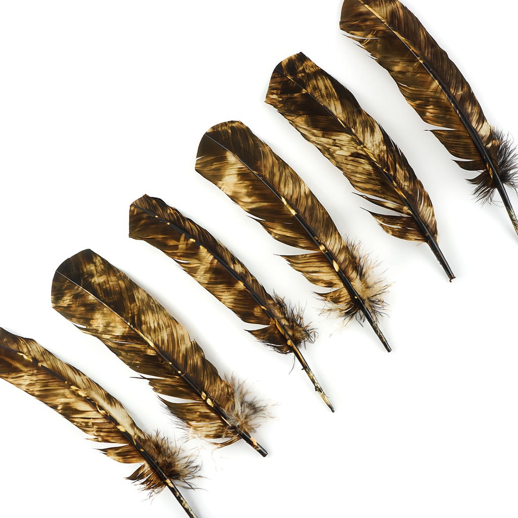 Turkey Quill Left Wing - Tie Dye - Beige & Brown