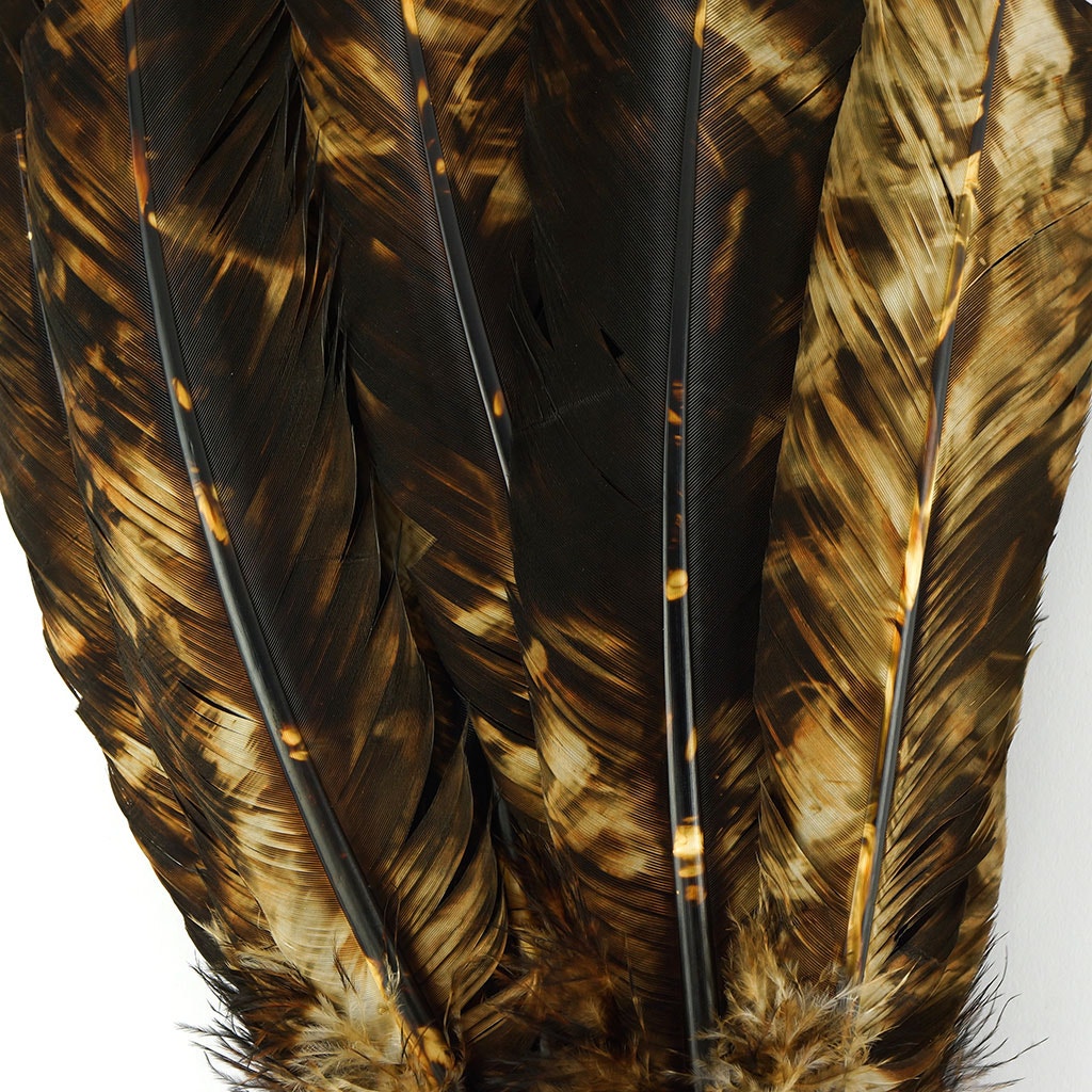 Turkey Quill Right Wing - Tie Dye - Beige & Brown