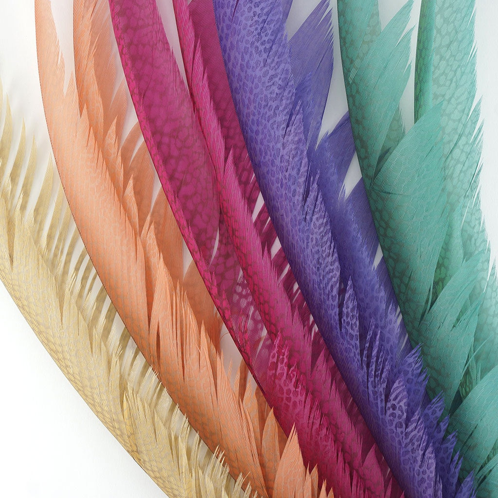 Golden Pheasant Center Tails Dyed Beige