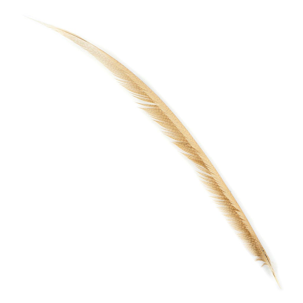 Golden Pheasant Center Tails Dyed Beige