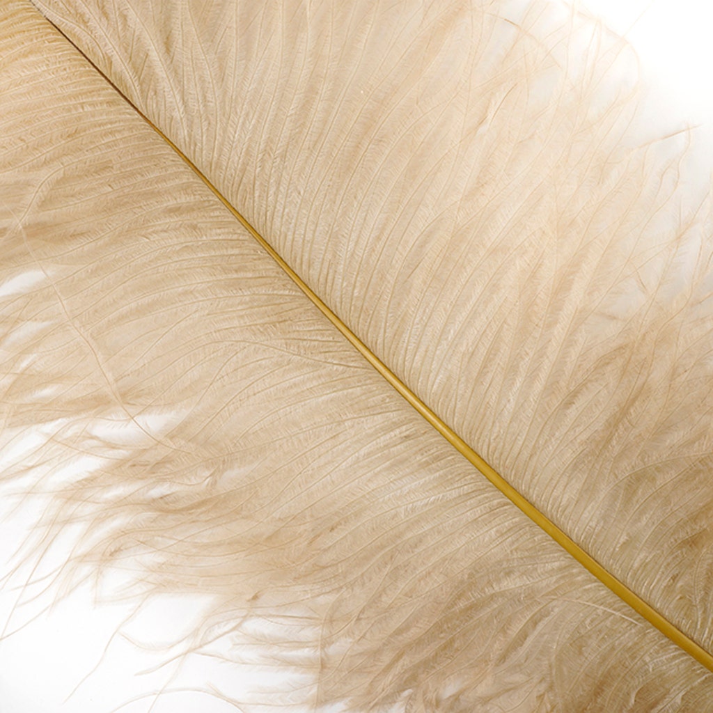 Ostrich Feathers-Narrow Drabs - Beige