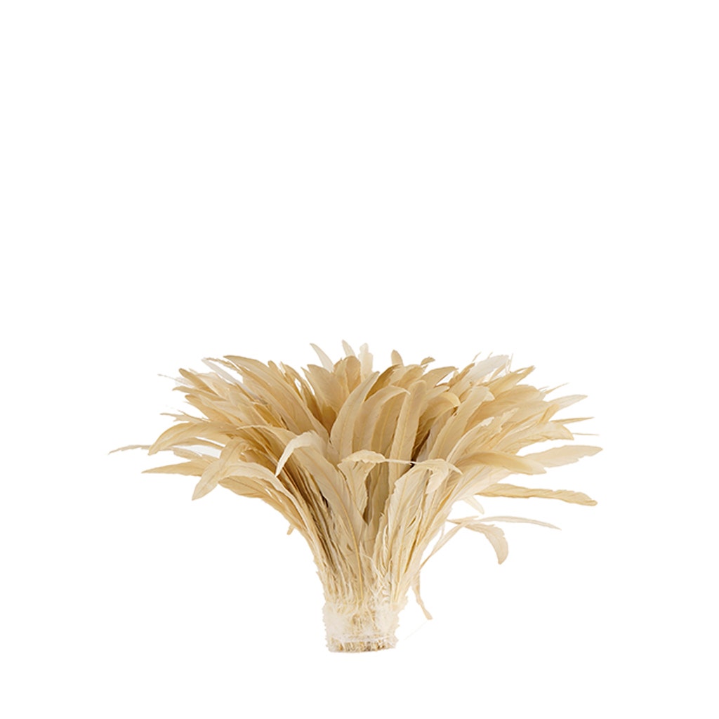 Rooster Coque Tails-Bleach-Dyed - Beige