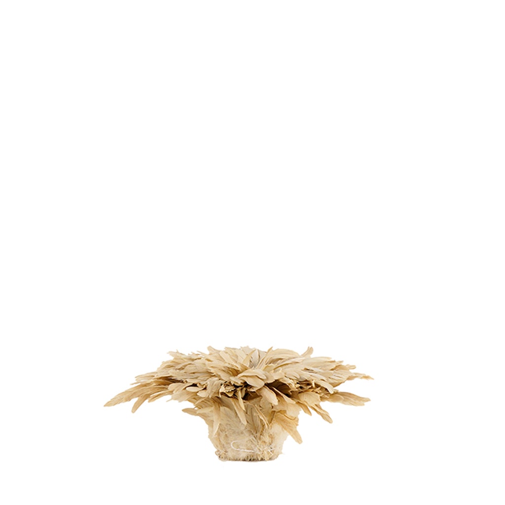 Rooster Coque Tail Feathers Bleach and Dyed - Beige