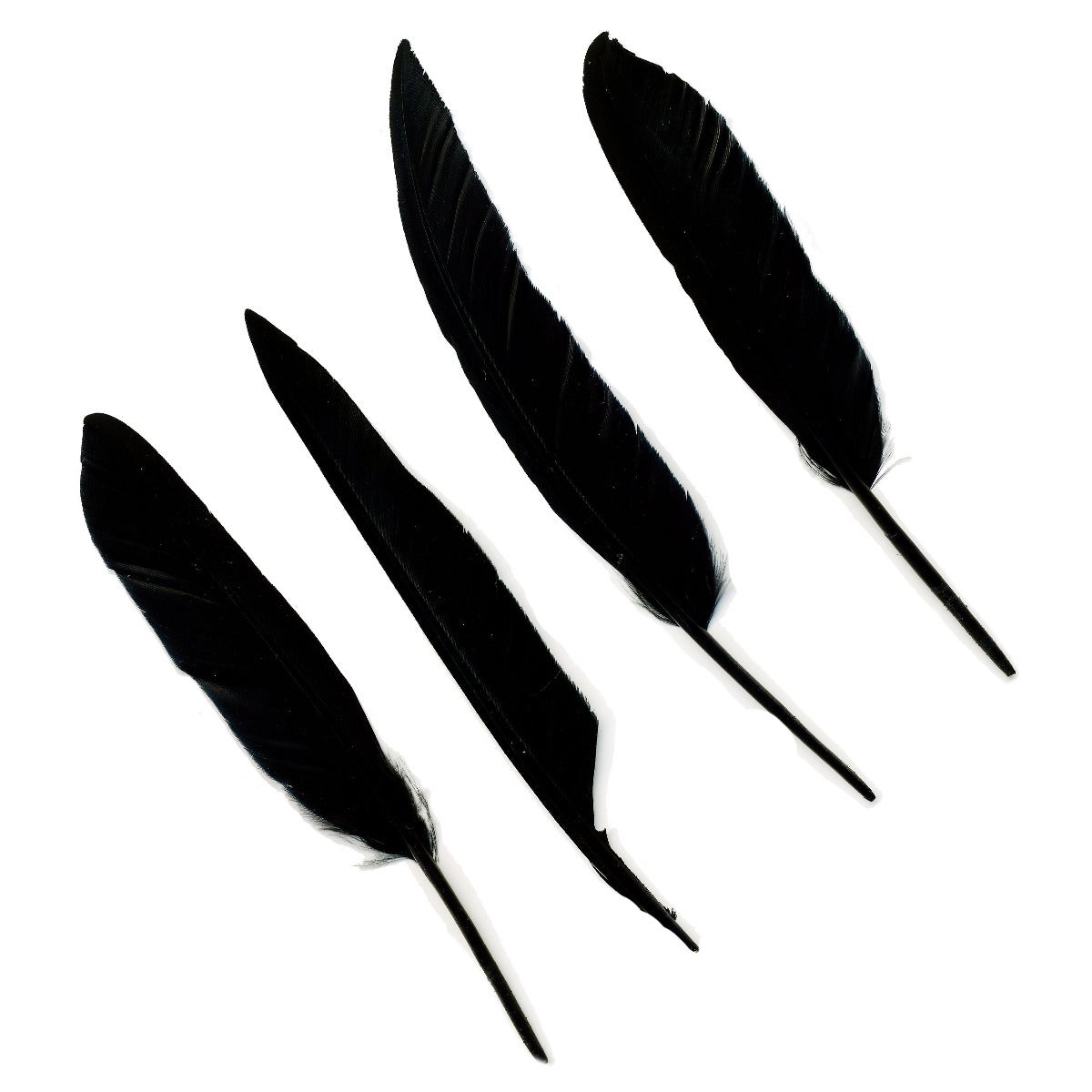 Duck Pointers 200pcs  5-9 inch - Black