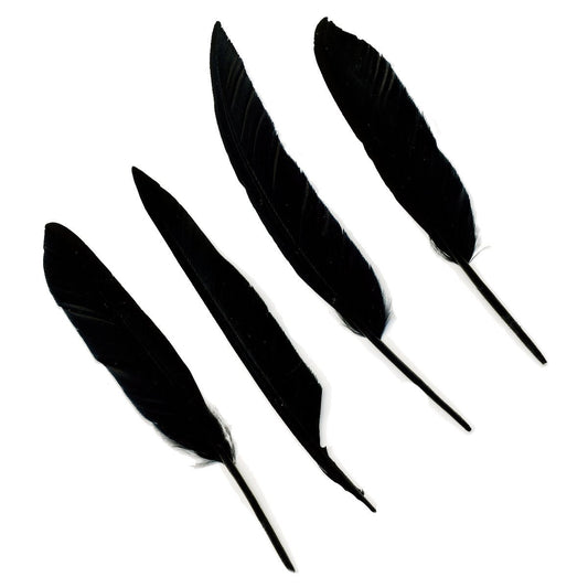 Duck Pointers 200pcs  5-9 inch - Black