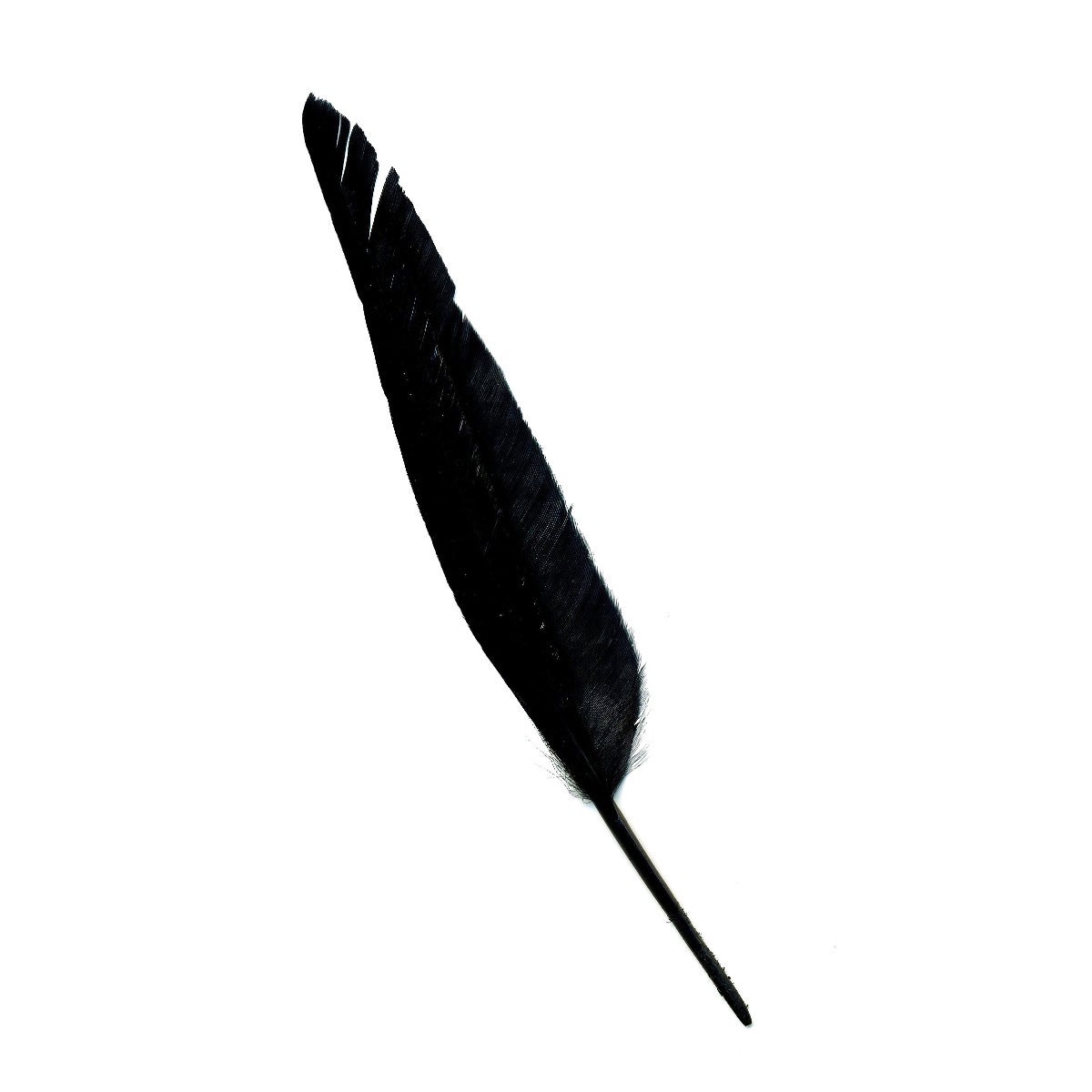 Duck Pointers 200pcs  5-9 inch - Black