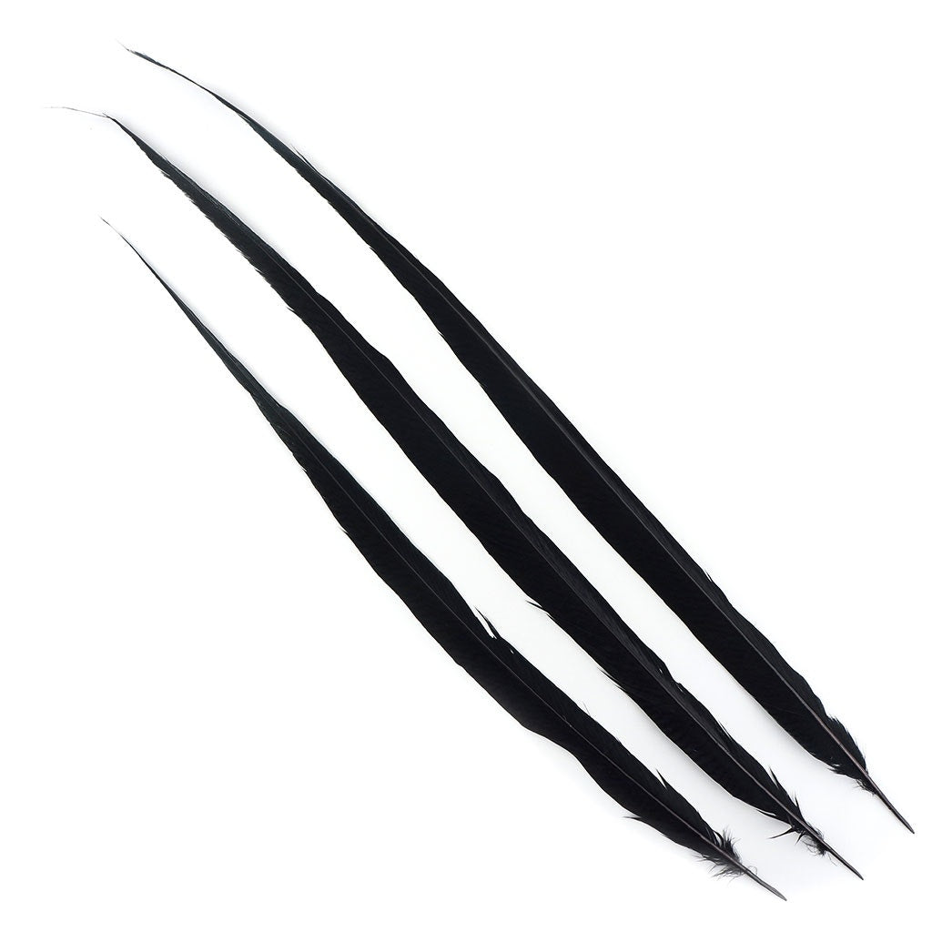 BGP30 Golden Pheasant Tails 25-30" Dyed (3 Pieces Per Package) Black