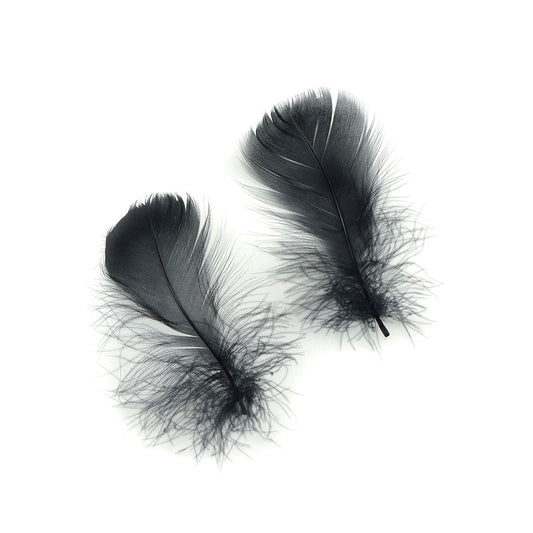 Bulk Goose Coquille Feathers Dyed - Black - 1/4 lb