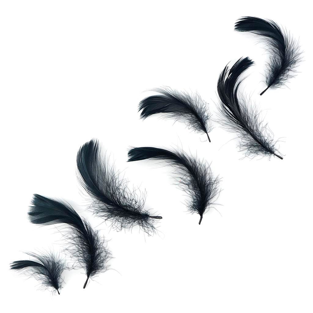 Loose Goose Coquille Dyed - Black